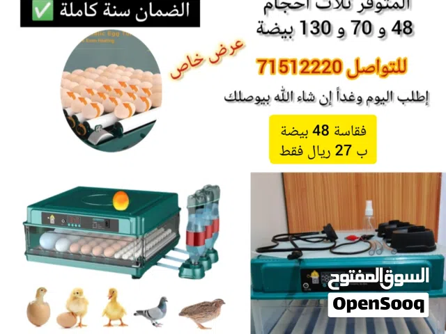 عرض للفقاسات وأيضا تتوفر مستلزمات طيور