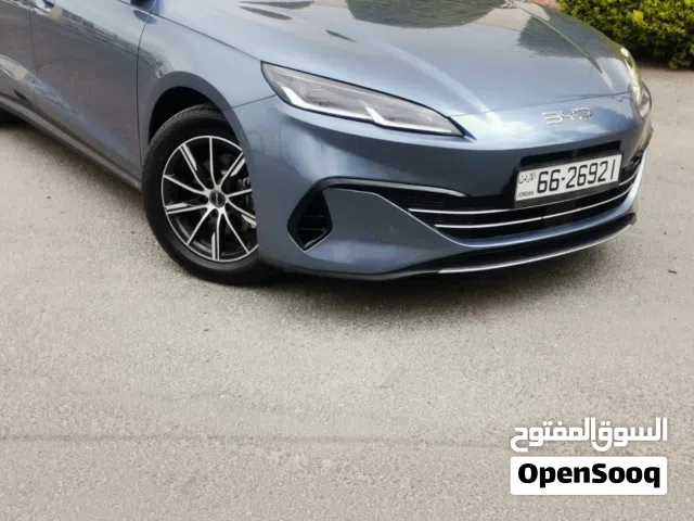 2025, بي واي دي, سيل