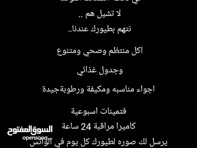 فندقه لطيور