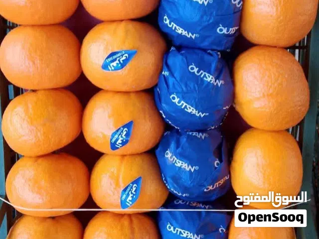 مطلوب ممول