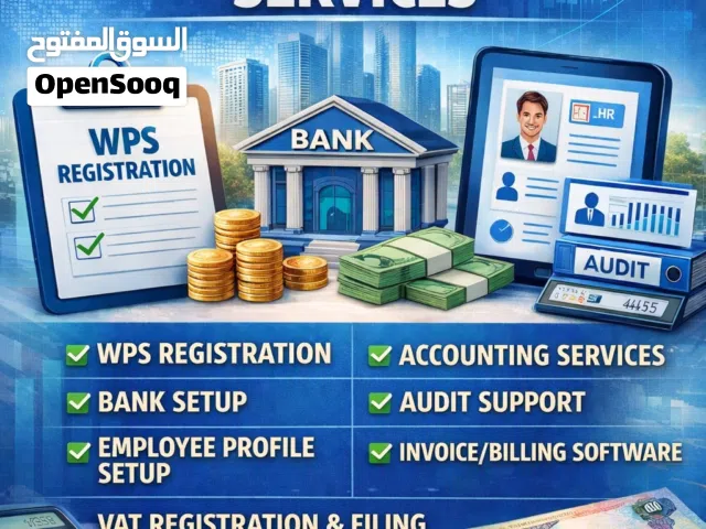 Professional Accounting and Auditing services