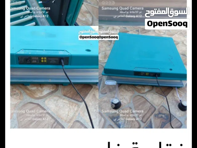 فقاسه كبيره لجميع أنواع البيض