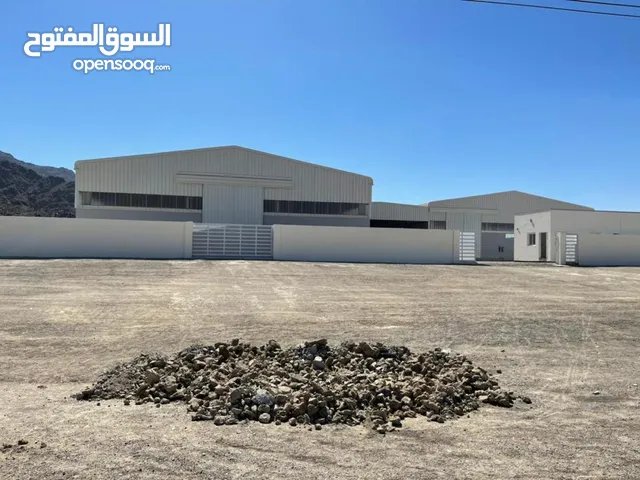 مصنع ماء للبيع مجهز بآلات و معدات و يتكون من 4 مباني1للسكنات و1 للإدارة و 1 للتعبئة و 1 لصنع العلب