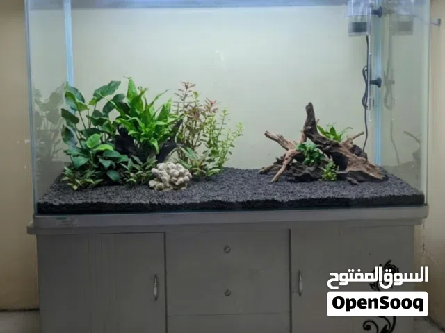 حوض سمك كبير مستخدم للبيع