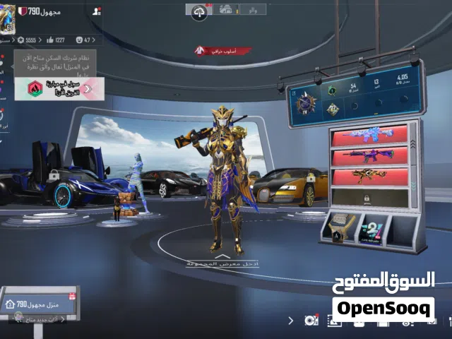 Pubg Accounts and Characters for Sale in Sharjah