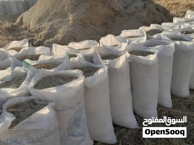 موجود للبيع 160شوال تبن شعير نضيف الشوال محشي حشي مش فاضي