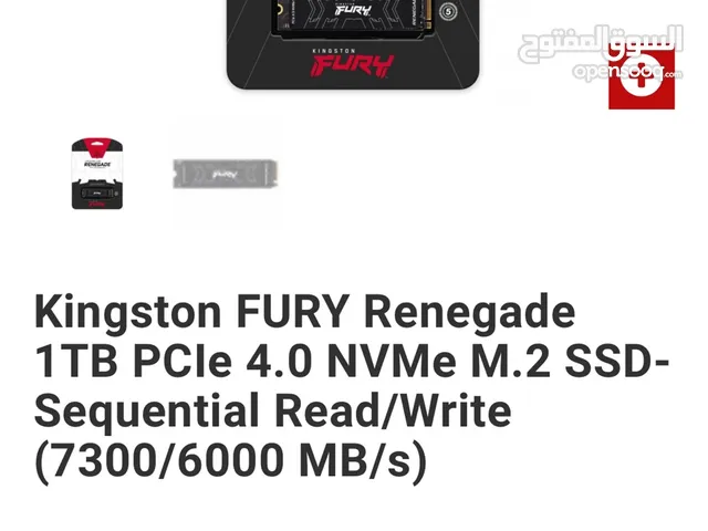 Kingston FURY Renegade 1TB PCIe 4.0  (7300/6000 MB/s)