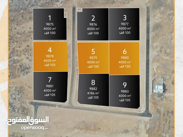 بركاء الرميس