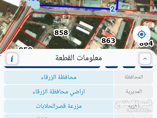 مزرعة ابقار 6100 متر (البيع بسعر الارض فارغه)