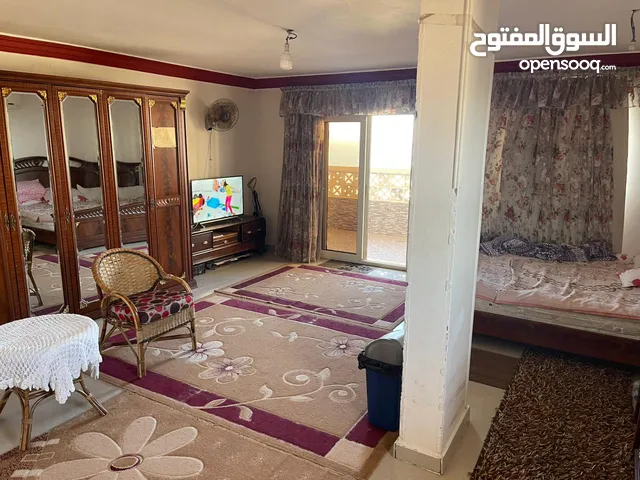 500 m2 5 Bedrooms Apartments for Sale in Alexandria Sporting