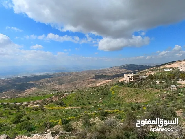 تملك ارض سكنية بالقرب من شارع الستين بإطلالة خلابة على جبال فلسطين ومزروعة زيتون