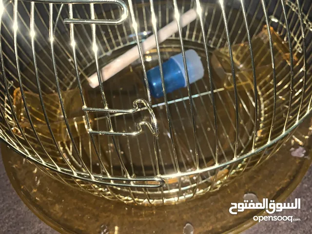 قفاص عصافير للبيع