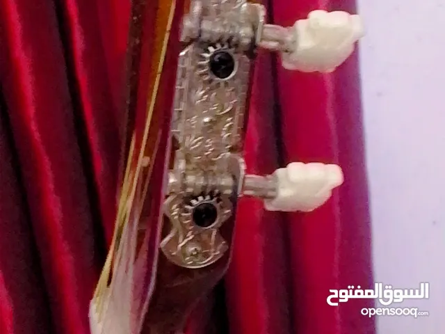 جيتار تعليمي مع ريشه