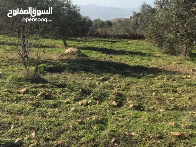 Mixed Use Land for Sale in Amman Dabouq