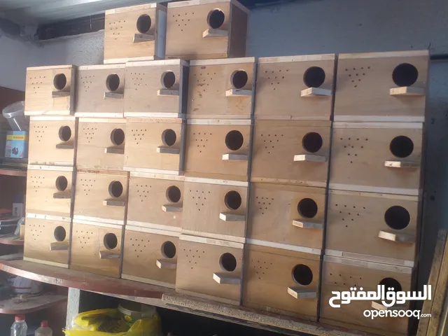 متاح اكواخ للفيشر والروز والببغاوات الصغيرة