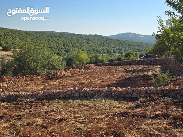 مزرعه 2 دونم مزروعه موقع مميز جدا من مالك مباشر