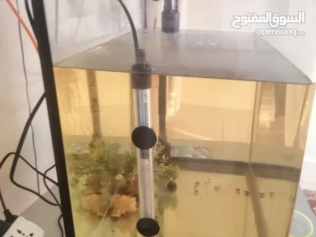 للبيع حوض أسماك كبير