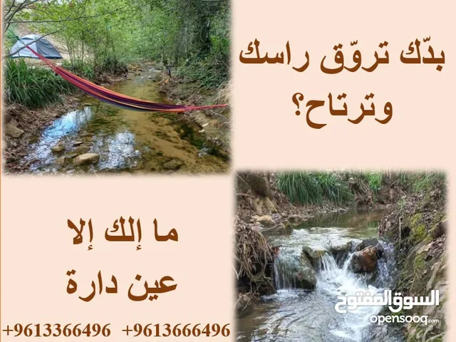 تخييم ب عين دارة