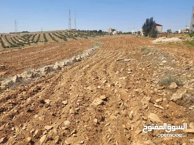 Farm Land for Sale in Mafraq Al-Dajaniya