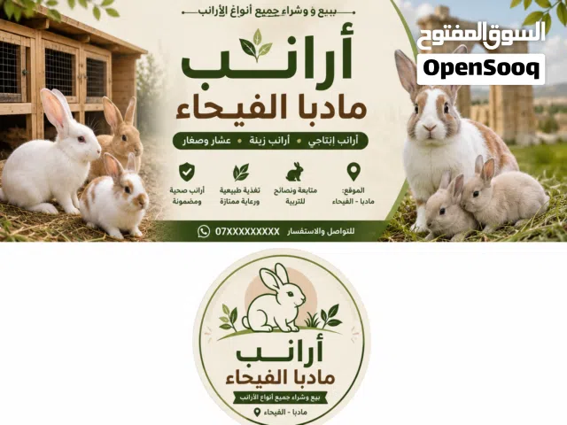 ارانب للبيع