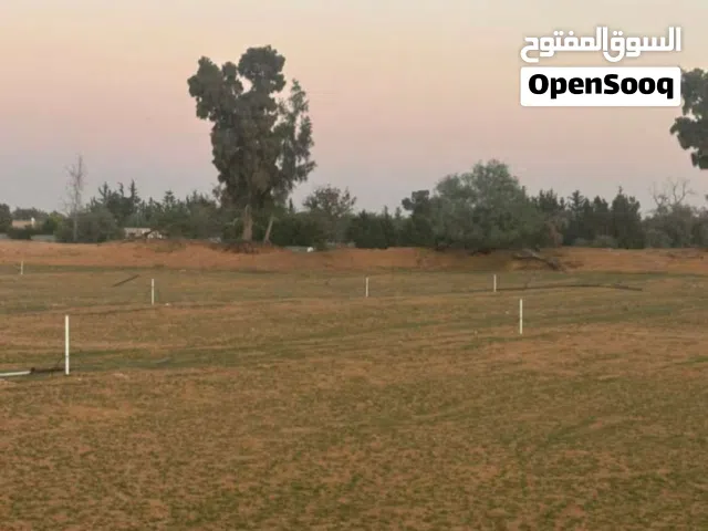 السلام عليكم موجود 1000م و500م و250م للبيع بسعر كزيوني سعر المتر 140د وساهل  المكان وادي الربيع
