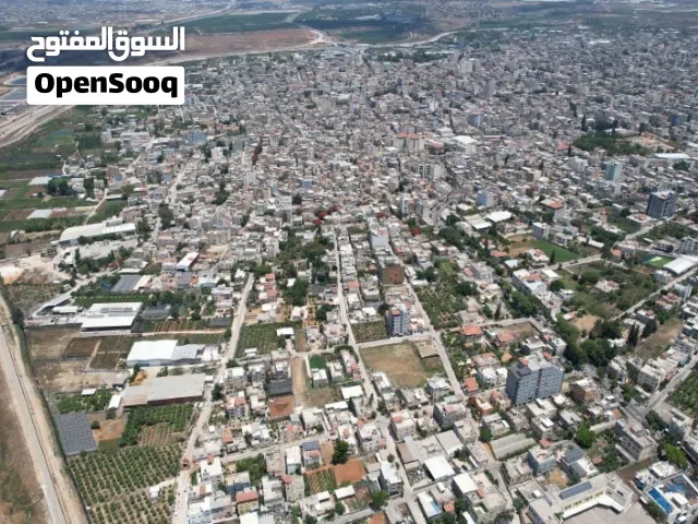 فرصة ذهبية لامتلاك شقة في قلقيلية