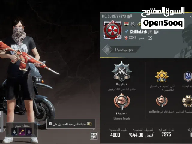 Pubg Accounts and Characters for Sale in Dhi Qar