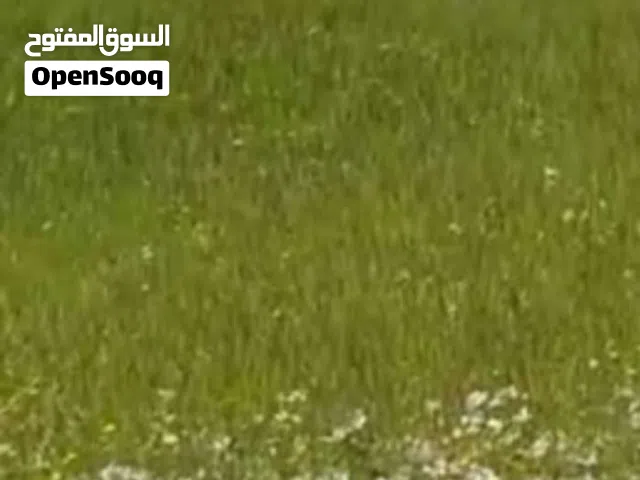 بدفعه 3000 آلاف واقساط من شهريه بدون بنوك