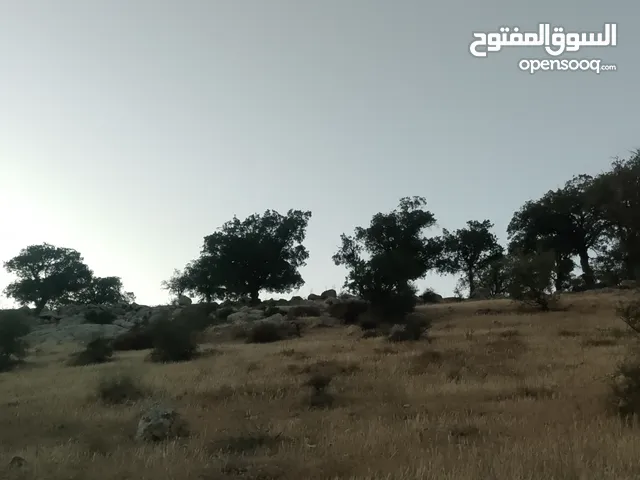 Mixed Use Land for Sale in Zarqa Al-Alouk