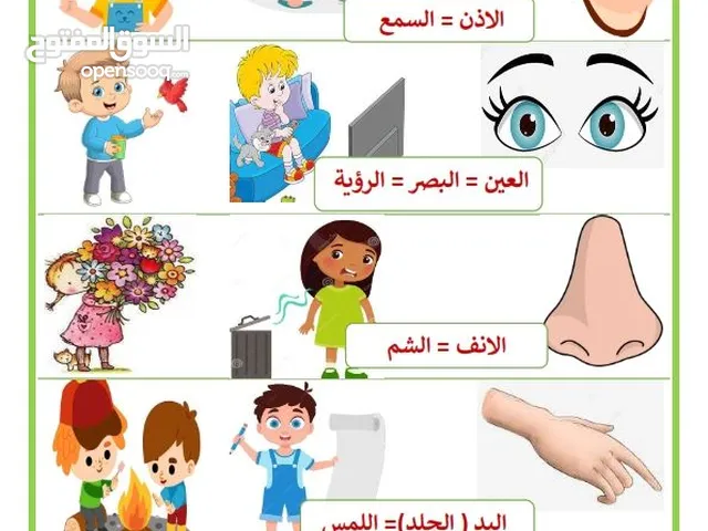 ASL تعليم اللغة العربية لغير العرب