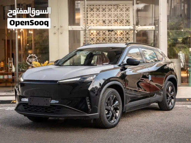 2027 دونج فينج سكاي EV01