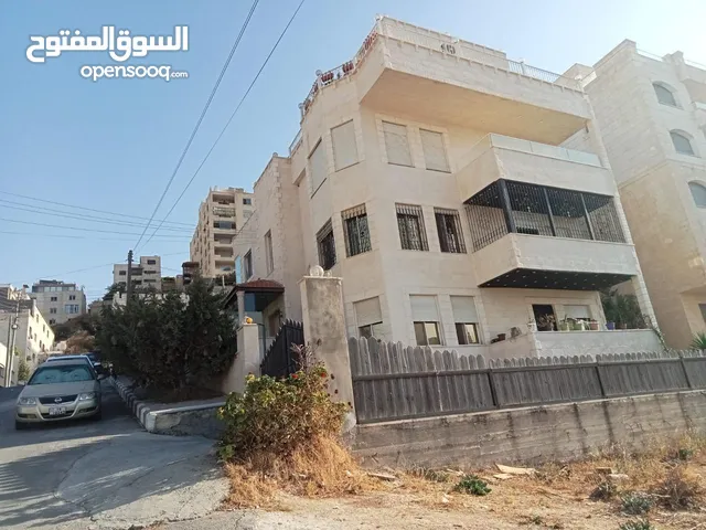 سقة بل حمر