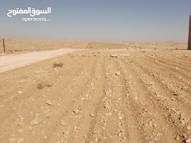 Farm Land for Sale in Madaba Other