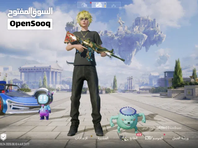 Pubg Accounts and Characters for Sale in Dhi Qar