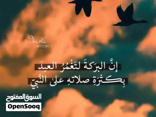 عماد رضوان عبد العاطي عبد الحميد