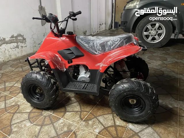 Buggy All Models 2024 in Muscat