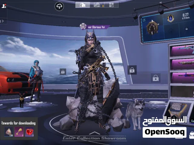 Pubg Accounts and Characters for Sale in Zarqa