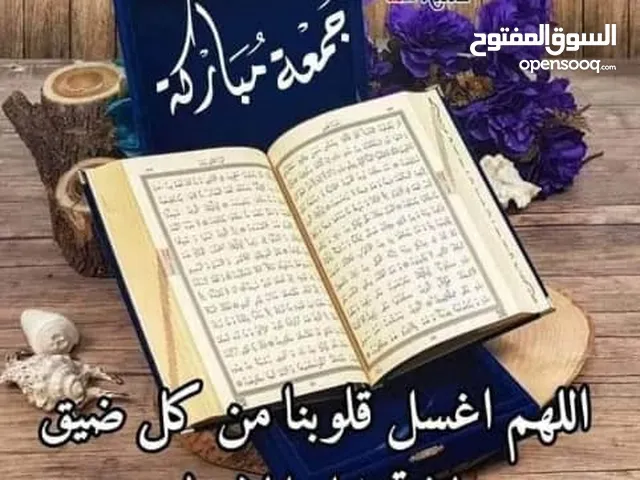 شركة خدمات سياحة للبيع باالاياتي