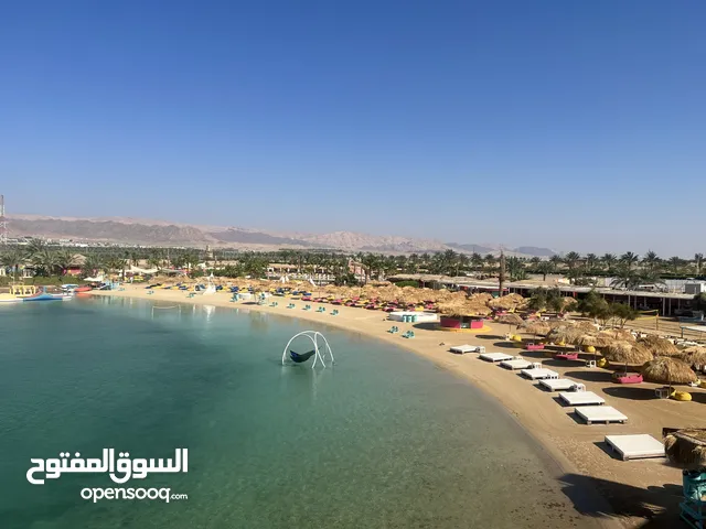 55 m2 1 Bedroom Apartments for Rent in Aqaba Ayla