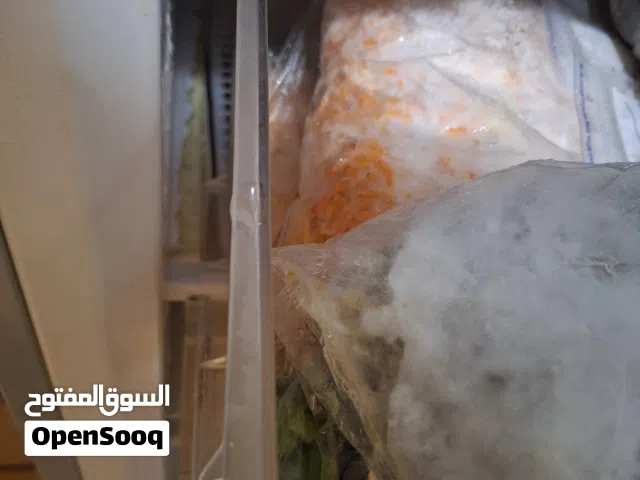 شغاله مافيها شي بس القشاط خربان