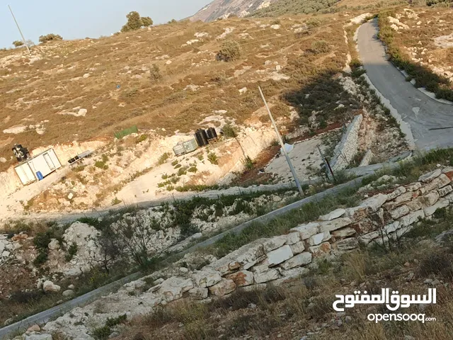 ابو وائل عليوي