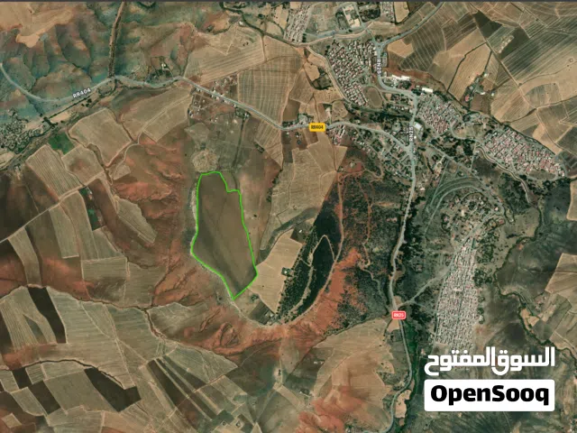 25 Hectares Titled Agricultural Land – Water & Electricity – Ideal Poultry Farm / High-Return Invest