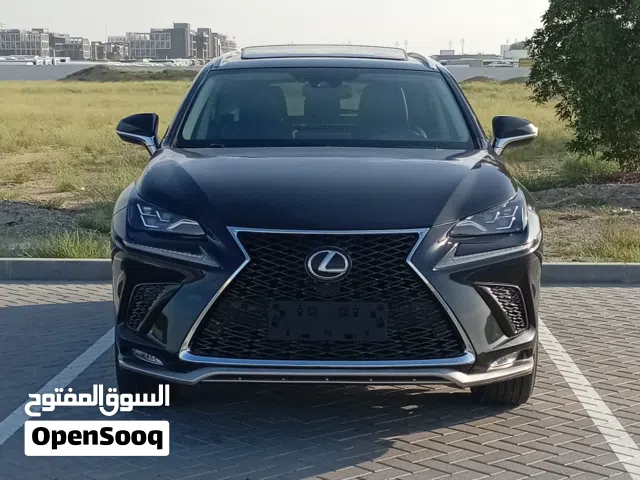 2019, لكزس, NX, NX 300
