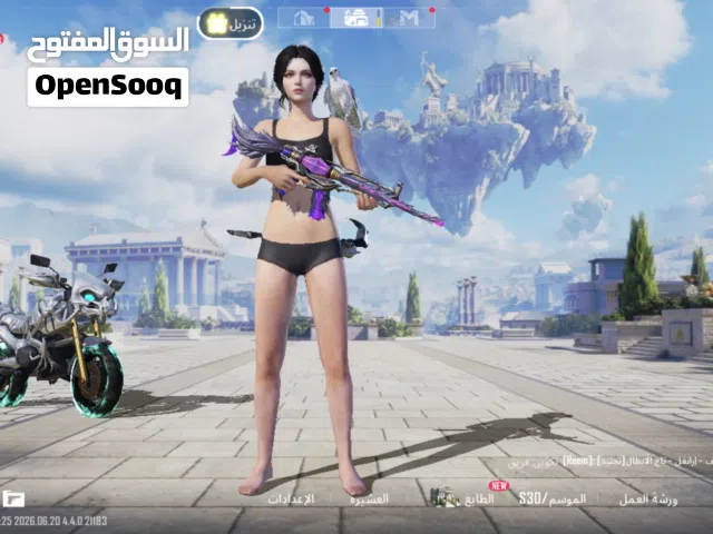 Pubg Accounts and Characters for Sale in Karbala