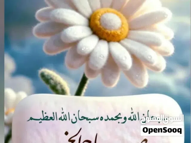 أرض عقارية