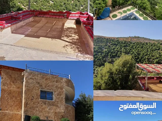 3 Bedrooms Farms for Sale in Jerash Sakib