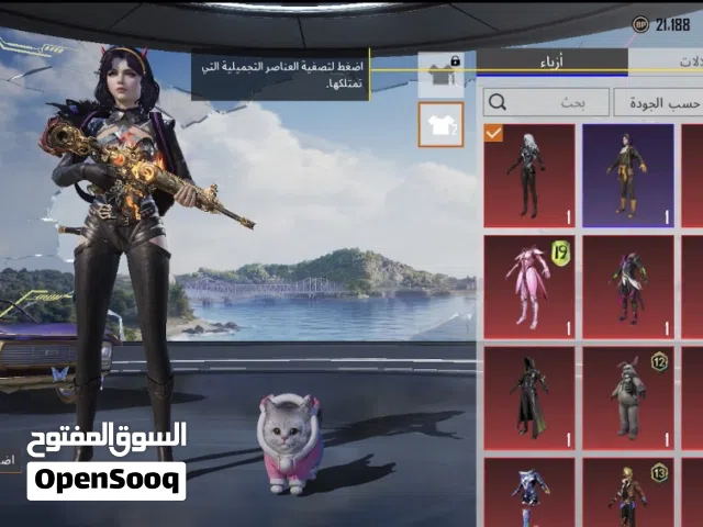 حساب ببجي مرتب
