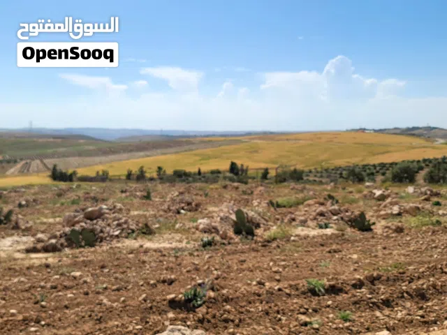 Farm Land for Sale in Madaba Thiban