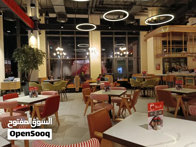 electronic  plumber jipson painting & Ac