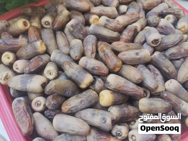 تمر نغال نظيف وحجم ممتاز